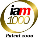 IAM 1000