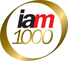 IAM 1000